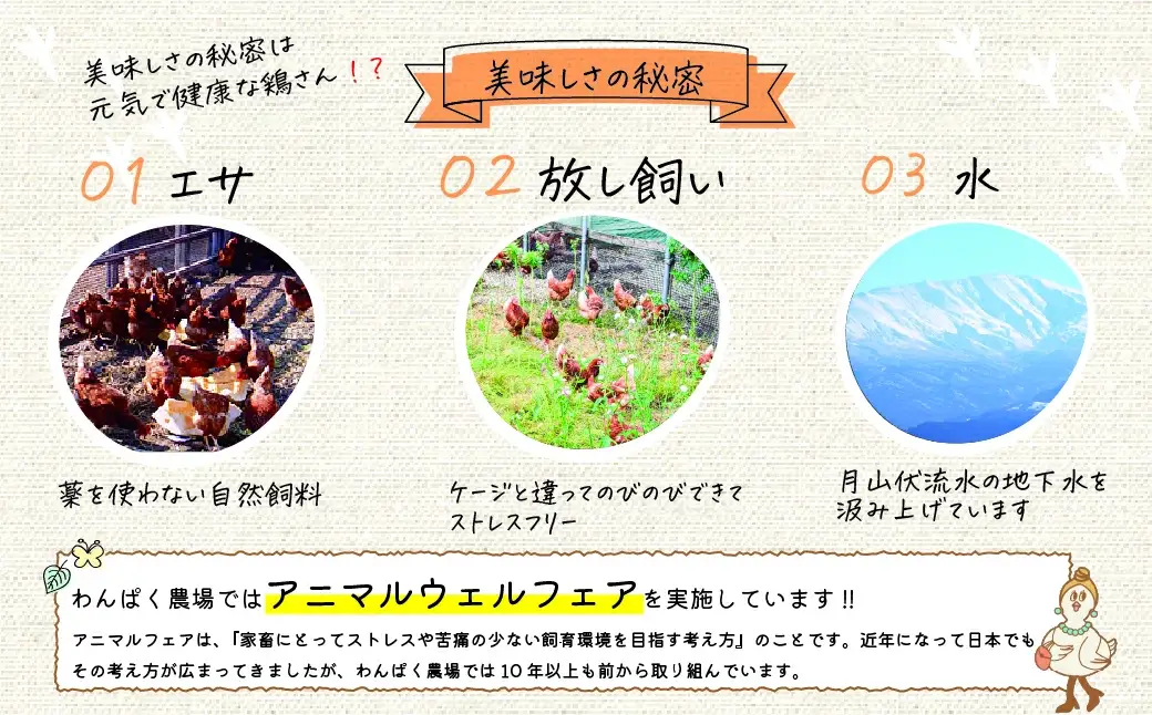 B04-751　太陽の下放し飼いわんぱく卵 【2回お届け】「10個入×3パック」