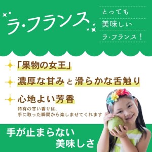 SA2921　酒田のラ・フランス　約3kg