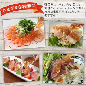 食べる玉ねぎドレッシング！おすすめセット(合計12本)ドレッシング ドレッシングボトル ギフト 玉ねぎ タマネギ ゆず 柚子 セット 和風 食べる 野菜 人気 おすすめ【m18-04-C】【Cafe Palette】