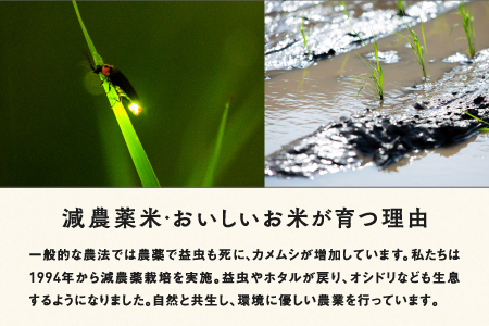 【令和7年産】福井県産 おしどり米 ハナエチゼン 5kg