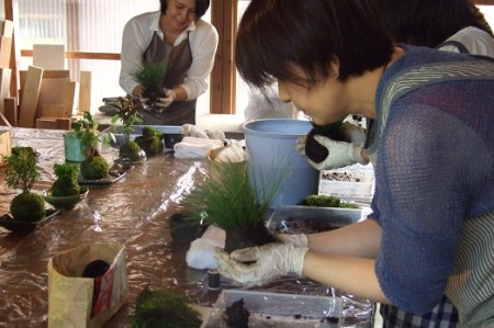 1107 おかげ横丁　苔玉作り体験(１名様分）　苔玉作り　苔テラリウム　小さなコケ　苔玉　育て方　観賞　苔玉栽培　苔　
