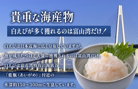 白えび刺身200g×2個
