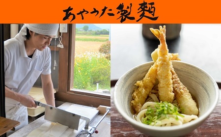 あやうた製麺半生うどん＆丸亀うちわ（丸竹大2枚）セット 麺類 民芸品 工芸品 