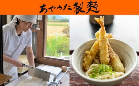 あやうた製麺半生うどん＆丸亀うちわ（源右衛門）セット 麺類 