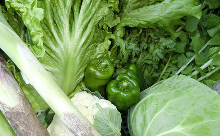 定期便3回 お野菜 ｾｯﾄ 野菜 やさい