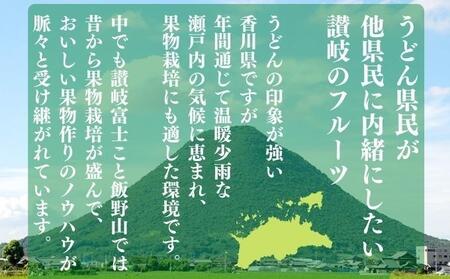 讃州丸亀 フルーツ定期便 9回 旬のフルーツ 果物定期便 キウイ いちご 桃 シャインマスカット ピオーネ みかん びわ 八朔 柑橘