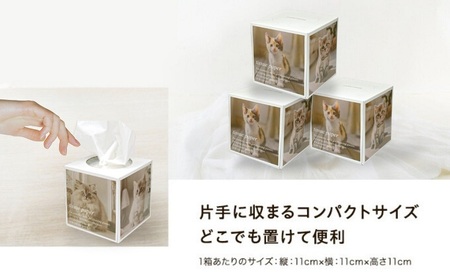 キューブ型 ティッシュ 14箱 ティッシュペーパー 日用品 日用品