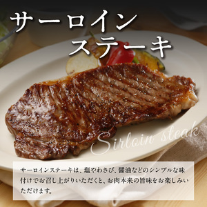 鹿児島黒牛 サーロインステーキ ・ すきやき セット （E-301） W032-001u 肉 牛肉 冷凍