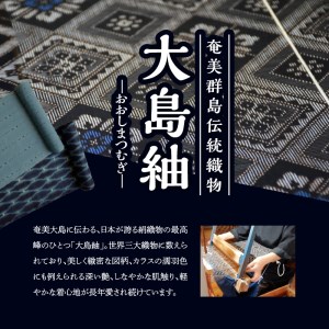 大島紬ファブリックパネル W040-001u 衣類 雑貨 日用品