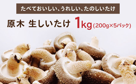 原木 生しいたけ 1kg/200g×5 椎茸 シイタケ 北海道 [AXAI001]
