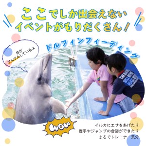 【下田海中水族館】ペア入場券 [水族館 イルカ]
