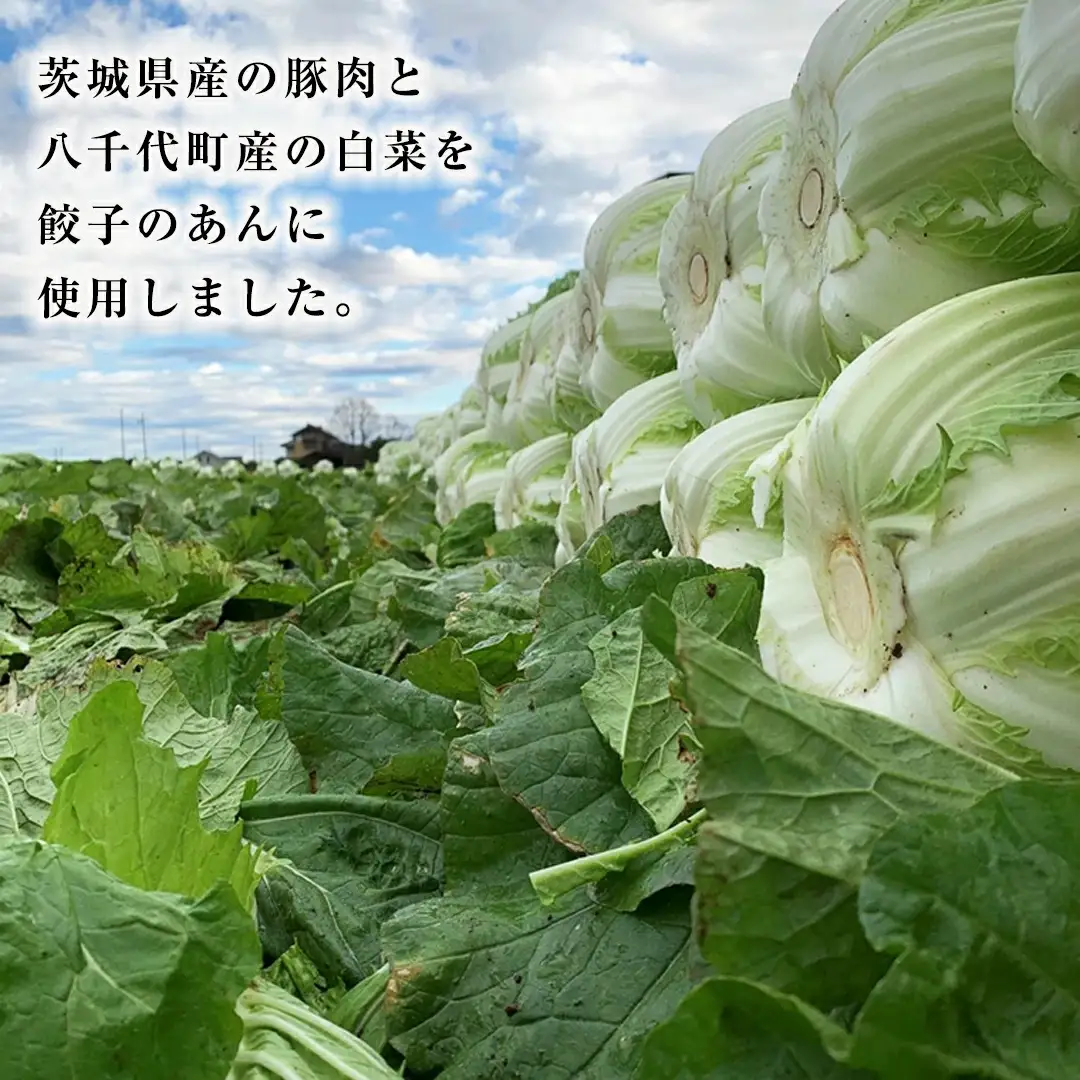 餃子 ジューシー白菜餃子150個 総重量3750g! 冷凍