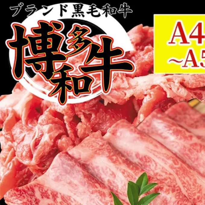 博多和牛 A4～A5 しゃぶしゃぶ すき焼き 750g セット（スライス 250g・切り落とし 500g）配送不可：離島 