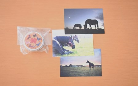 天然蜜蝋100%手作り「キャンドル」＆馬たちの「ポストカード」セット[39-1122]