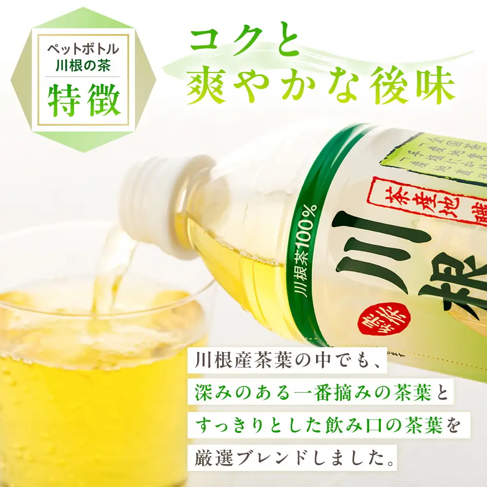 14-3 「川根の茶」ペットボトル