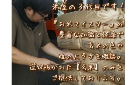 【玄米】《マイスターセレクト》さがびより5kg【特A評価】 086-B772