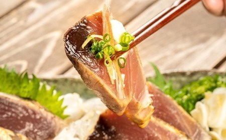 旬の初ガツオをお届け！大将の目利きのタタキ3人前！【冷凍】／Efs-04 かつお 燻製 鰹