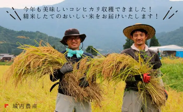 【令和７年産】【お米定期便/全６回】南魚沼産コシヒカリ 白米１０ｋｇ＜５割減農薬栽培米＞城内農産【定期便 銘柄米 ブランド米 精米 こしひかり コシヒカリ 魚沼産 新潟米 産地直送 お米 米 こめ コメ ご飯 御飯 ごはん】