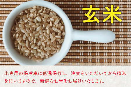 【先行予約】【令和8年産・新米】【12ヶ月定期便】 コシヒカリ10kg×12回 合計120kg（玄米）【2026年10月より順次発送予定】 [O-11302_02]