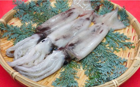 焼売 壱岐産 いかしゅうまい 3種セット 3箱 計22個 【 うに ・あおさ・ いか 】《壱岐市》【大幸物産株式会社】ウニ イカ シュウマイ [JEH018] 20000 20000円