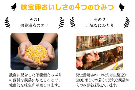 朝獲れ卵 味宝卵 (80個) 卵 Lサイズ 鶏卵《90日以内に出荷予定(土日祝除く)》野上養鶏場