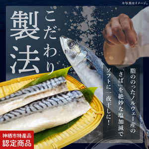【3ヶ月定期便】【茨城県共通返礼品/神栖市】大トロさば文化干し 6パック｜一夜干し 飽和脂肪酸 EPA DHA 阿見町 茨城県(48-02)