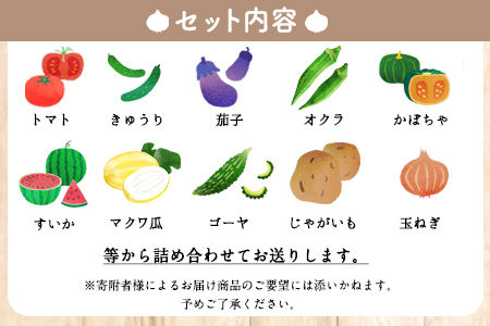 夏 野菜セット 約5kg 花田農園