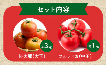 トマト とまと 2種の詰め合わせ 約4kg 花田農園