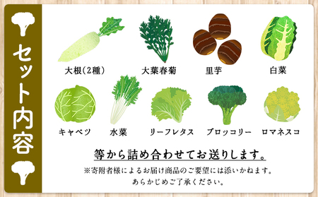 冬 野菜セット 約5kg 花田農園