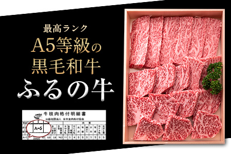 ふるの牛（黒毛和牛）特選焼肉用 1.7kg (ロース850g、カルビ850g) A5 ミシュラン掲載 《30日以内に出荷予定(土日祝除く)》