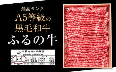 ふるの牛（黒毛和牛）Ａ５特選 切り落とし 750g 送料無料 A5 ミシュラン掲載《30日以内に出荷予定(土日祝除く)》