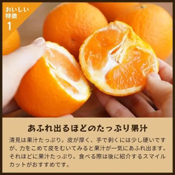 清見オレンジ（みかん）4kg 家庭用 ｜和歌山県海南市下津町で育てた和製オレンジを産地直送でお届け【2027年3月～発送予定】