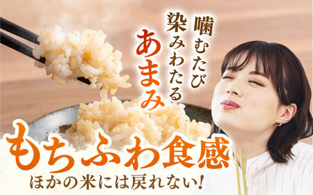 【特別栽培米】令和7年産 さがびより玄米5kg 【ももさき農産】 [HCG004] 