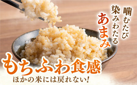 【特別栽培米】令和7年産 夢しずく玄米 5kg 【ももさき農産】 [HCG006]特A