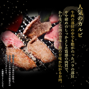 四万十麦酒（ビール）牛 焼肉用カルビ バラ肉（400g） Asz-41 麦酒牛 国産 バラ肉 カルビ