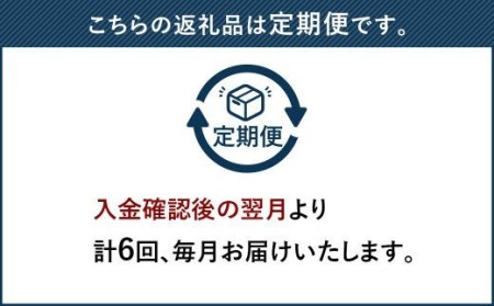 【定期便6回】 博多和牛 ヒレ シャトーブリアン 300g (2枚入り) 黒毛和牛