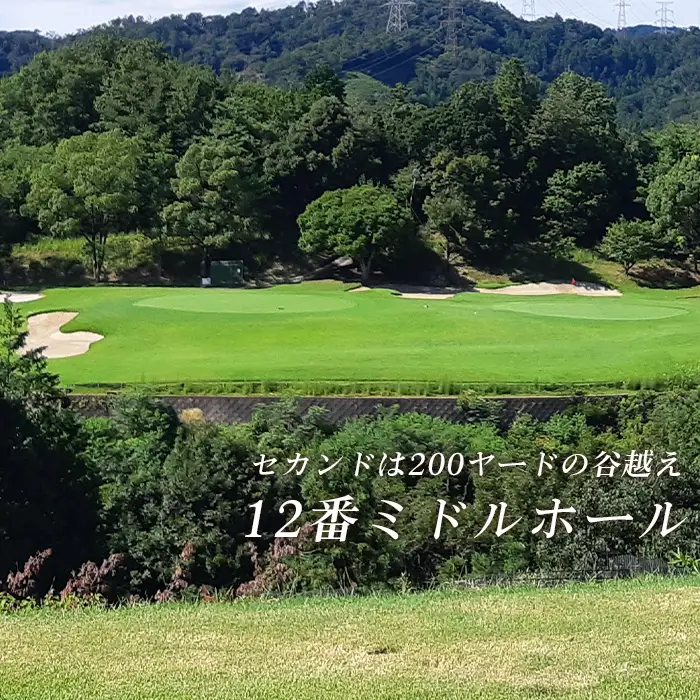 新大阪ゴルフクラブ土日祝日特別優待プレー券（1名様×1枚） ／ ゴルフ ゴルフコース プレー券 ゴルフ場 ゴルフ場利用券 優待券 チケット 券 スポーツ 運動 絶景 大阪府 No.014