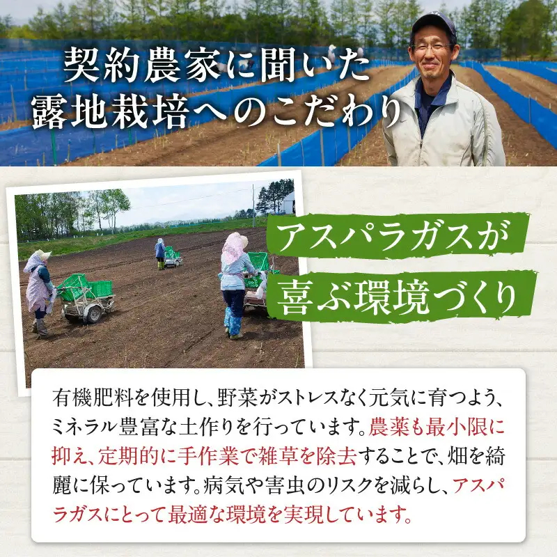 《令和8年産》産地直送アスパラ L・2L混合 1kg アスパラガス _S021-0010