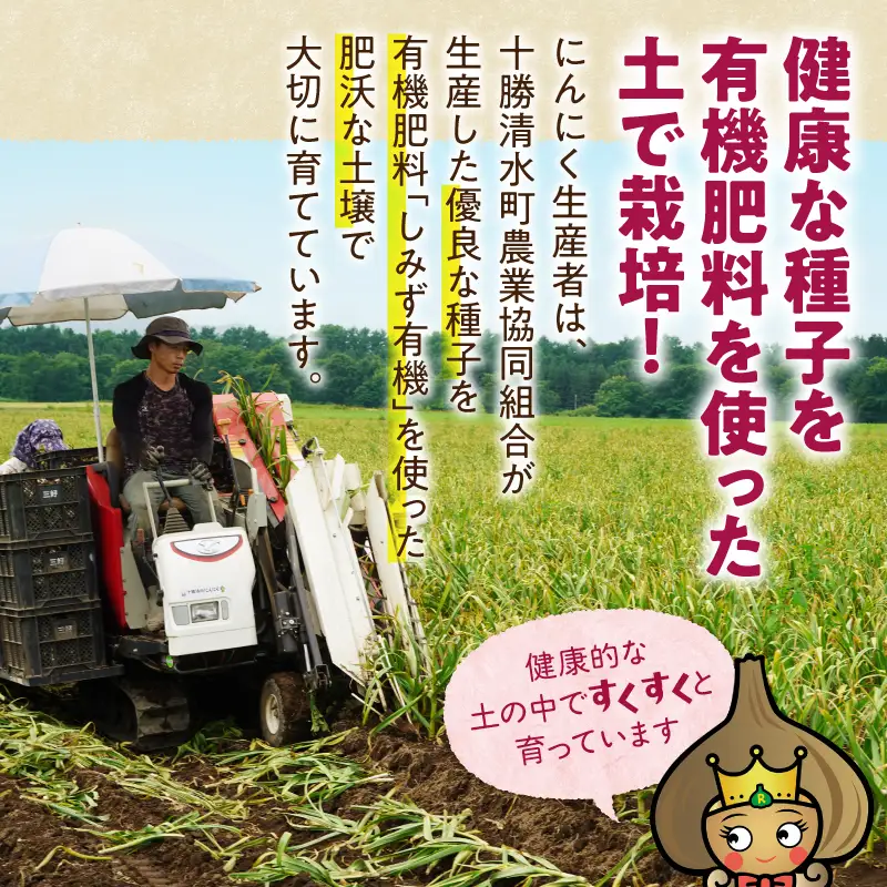 北海道十勝清水の「熟成黒にんにく」(6玉入)×2箱_S021-0006