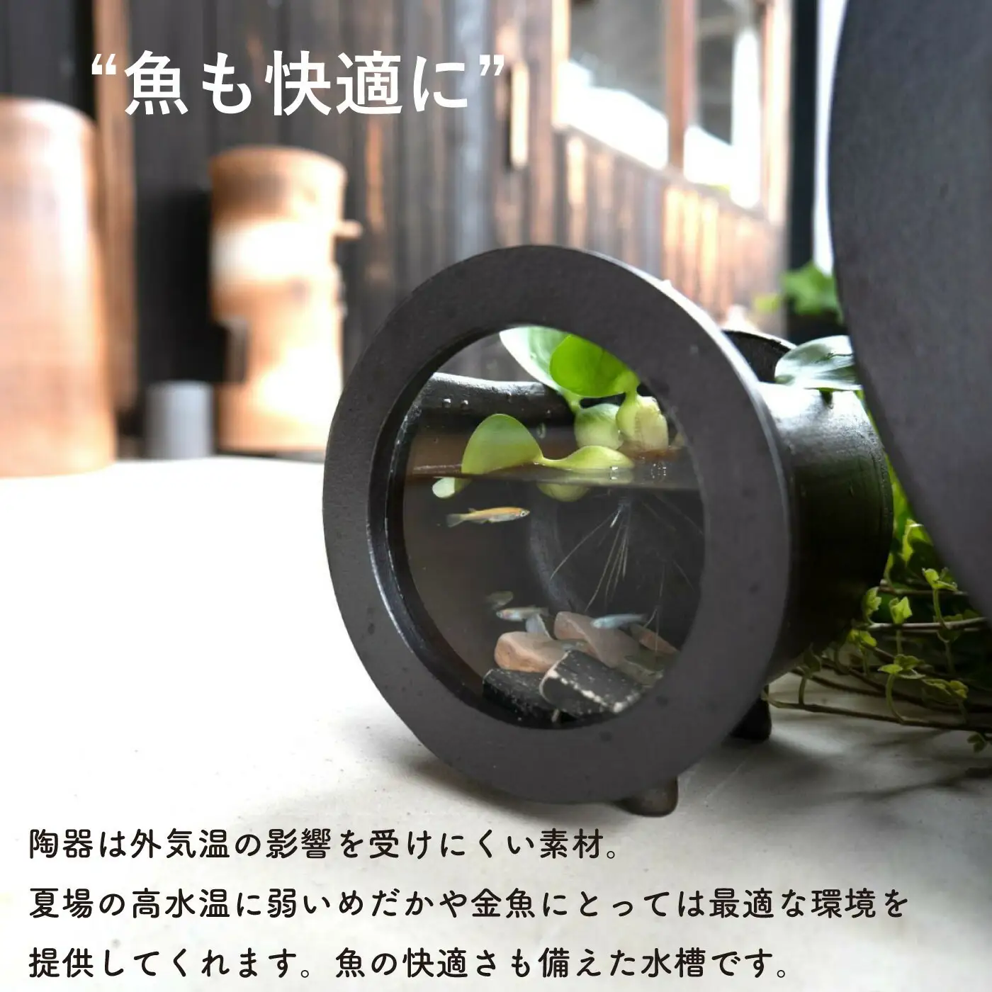 【信楽焼・明山】丸水槽・小（黒）　aqua-03s