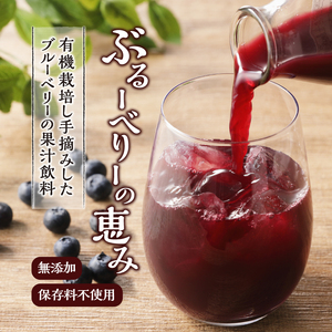 梅ジュース ブルーベリージュース 720ml×2本 無添加 自然栽培 八米梅園 国産 保存料不使用 梅果汁入り 濃厚 飲料 ドリンク 美味しい 瓶 夏ギフト 贈り物 お取り寄せ 山梨県産 上野原市 送料無料