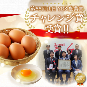 【3ヶ月定期便】”忍野の卵”コクの赤玉80個×3回 ※割れ保証含む 卵