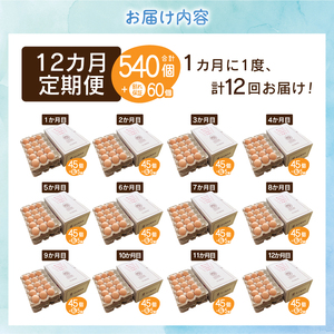 【12ヶ月定期便】”忍野の卵”旨味のピンク玉50個×12回 ※割れ保証含む 卵