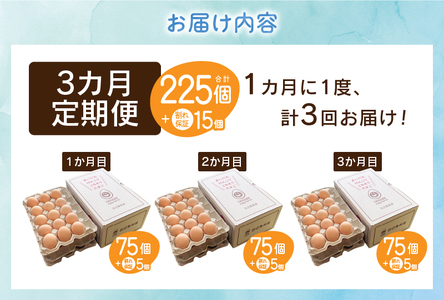 【3ヶ月定期便】”忍野の卵”旨味のピンク玉80個×3回 ※割れ保証含む 卵