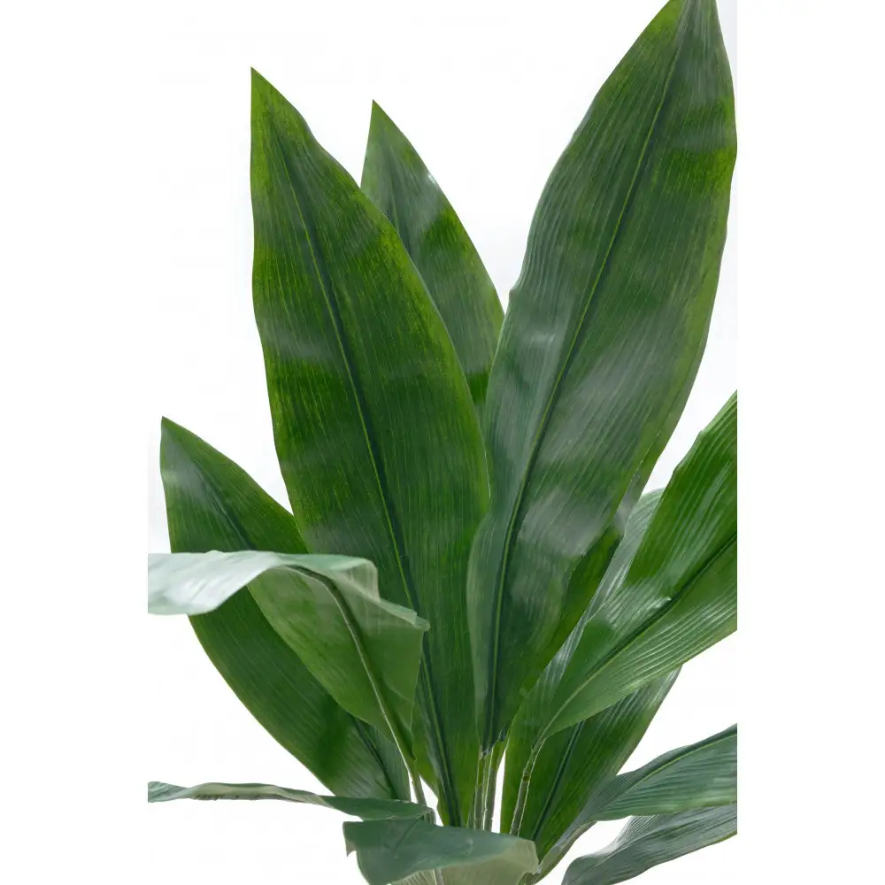 人工観葉植物　ハラン　白樹脂鉢Sサイズ付