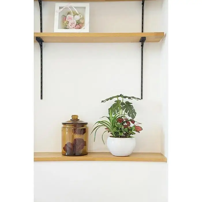 人工観葉植物　モンステラ寄せ植えジャングルポット