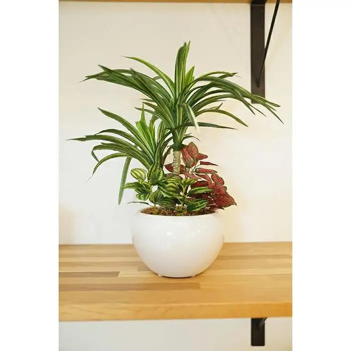 人工観葉植物　ユッカ寄せ植えジャングルポット