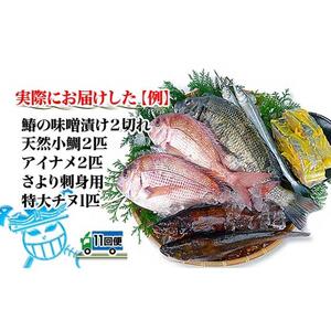 【定期便11回】創業100年の魚屋さんが選び抜いた旨い鮮魚直送便～