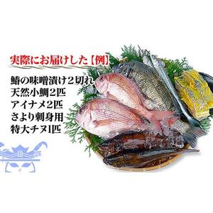 【瀬戸内海産】創業100年の魚屋さんが選び抜いた旨い鮮魚直送便～【配送不可地域：北海道・東北地方・沖縄・離島】