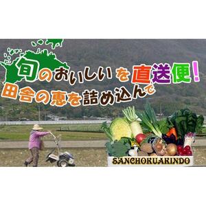 創業100年！老舗の八百屋がチョイスした厳選やさいと旬の果物の詰め合わせ